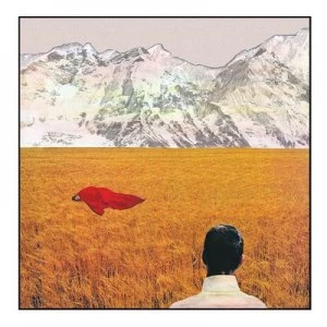 Image of After by Lady Lamb CD Album