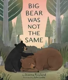 Image of Big Bear Was Not the Same