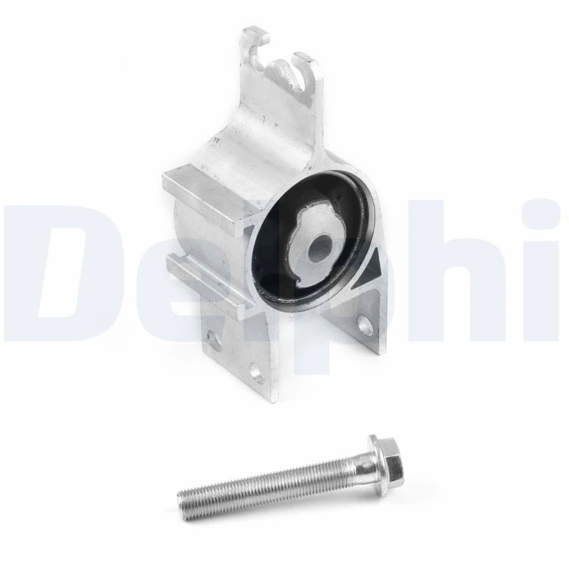 Image of DELPHI Trailing arm / Suspension arm bush DELPHI TD2076W