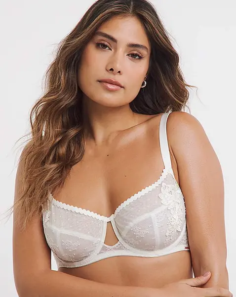 Image of Dorina Curves Aniyan Full Cup Bra Ivory Ivory Female 42E LO67625