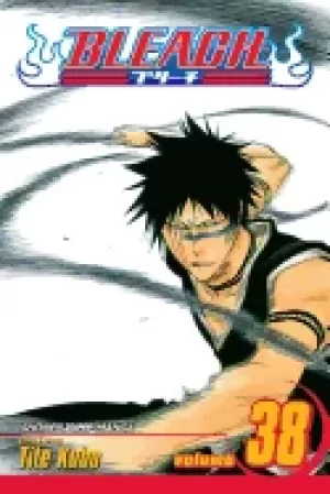 Image of bleach vol 38