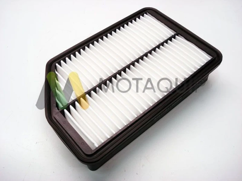 Image of MOTAQUIP Air filter MOTAQUIP LVFA1465