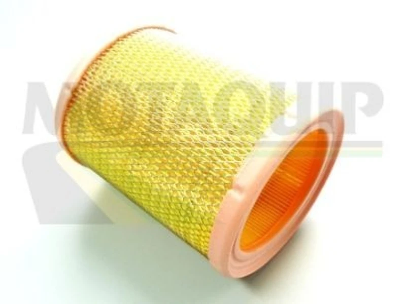 Image of MOTAQUIP Air filter MOTAQUIP VFA566
