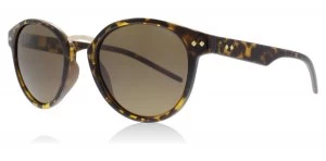 Image of Polaroid PLD1022/S Sunglasses Havana V08 Polariserade 50mm