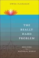 Image of really hard problem meaning in a material world