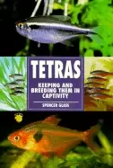 Image of tetras keeping and breeding them in captivity