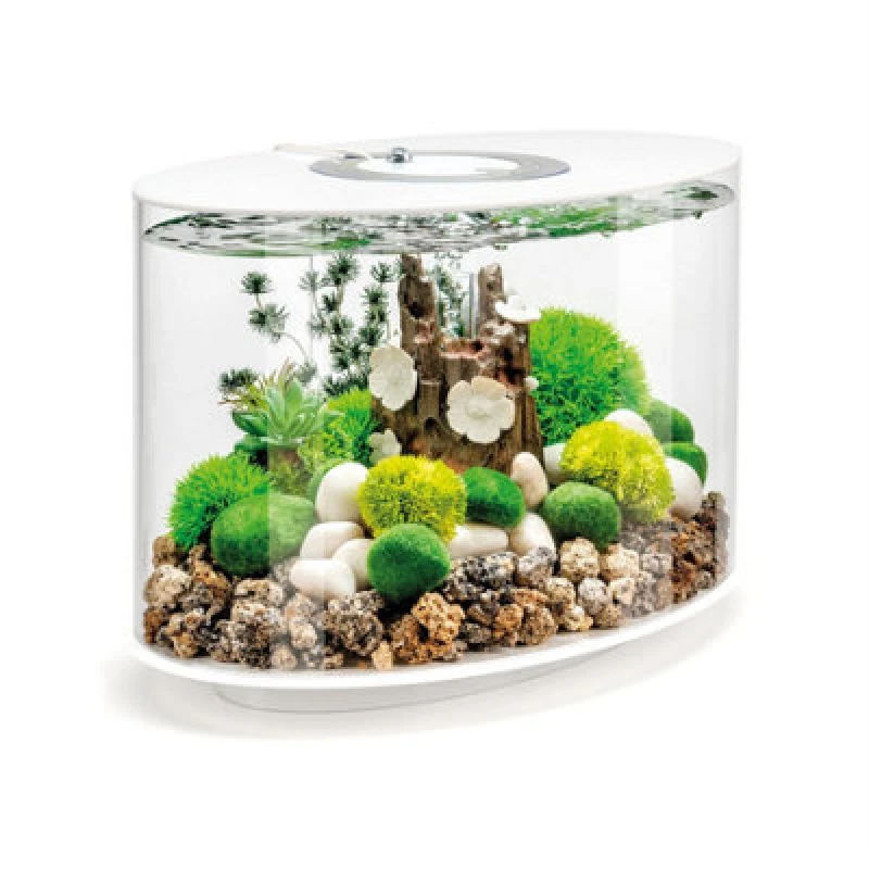 Image of Oase Biorb Loop 15L Aquarium Fish Tank In White With Mcr LED Lighting