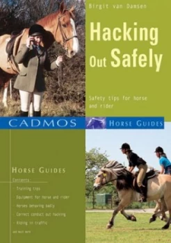 Image of Hacking Out Safely by Birgit Van Damsen Book