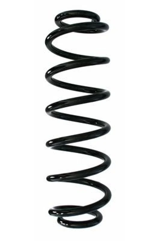 Image of Coil spring SPIDAN 87852