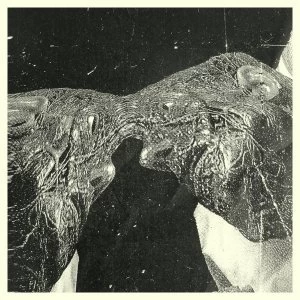 Image of Secret Boyfriend &lrm;- Memory Care Unit Vinyl