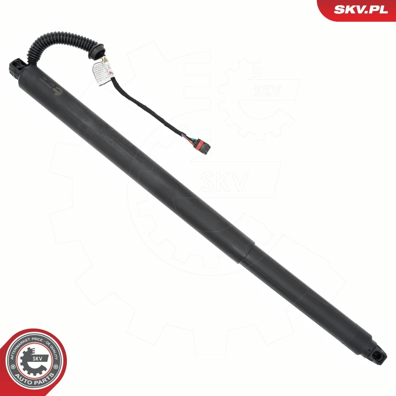 Image of ESEN SKV Electrical motor, tailgate ESEN SKV 52SKV253