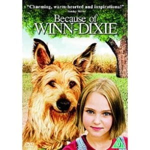 Image of Because Of Winn-Dixie DVD