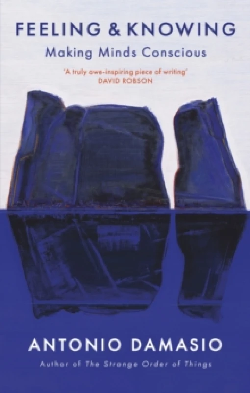 Image of Feeling and Knowing : Making Minds Conscious Paperback / softback