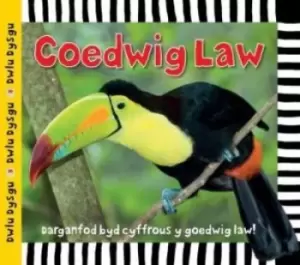 Image of Cyfres Dwlu Dysgu Coedwig Law by Sarah Powell