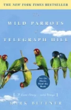 Image of wild parrots of telegraph hill a love story with wings