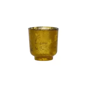 image of Ivyline Metallic Gold Glass Holder H19Cm W15.5Cm