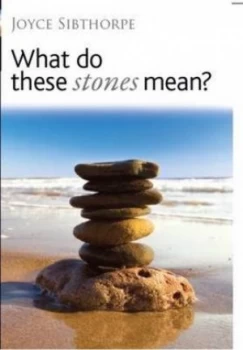 Image of What Do These Stones Mean by Joyce Sibthorpe Paperback