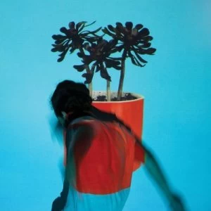 Image of Sunlit Youth by Local Natives CD Album
