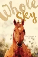 Image of whole sky