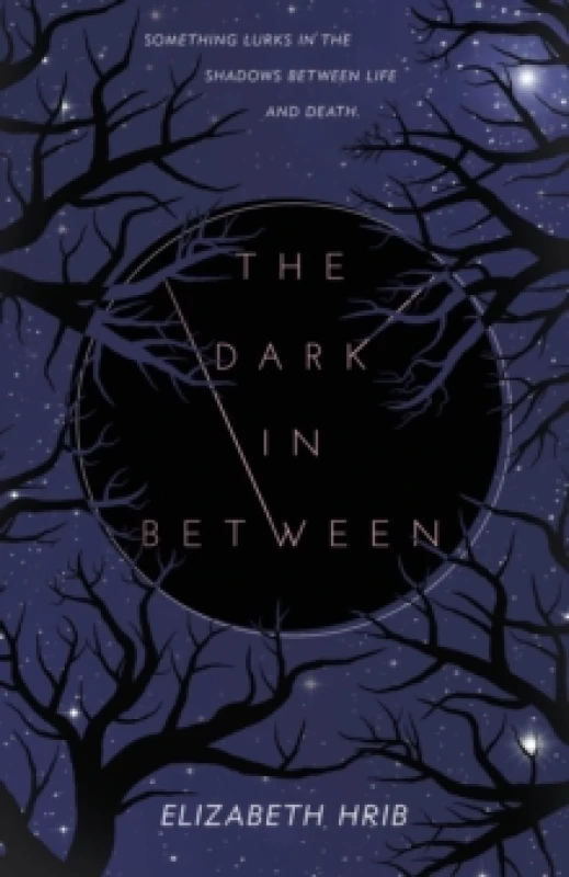 Image of The Dark In-Between. Paperback. By Elizabeth Hrib Books