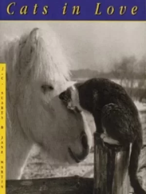 Image of Cats in love by Jean-Claude Suars