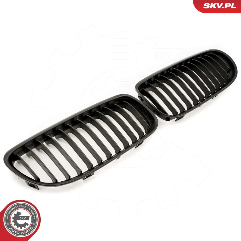 Image of ESEN SKV Radiator Grille ESEN SKV 66SKV097