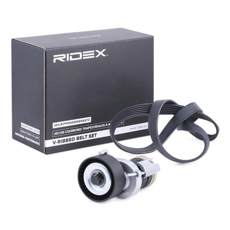 Image of RIDEX 542R1019 V-ribbed belt set V-Ribbed Belt Set (542)