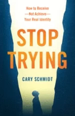 Image of Stop trying by Cary Schmidt