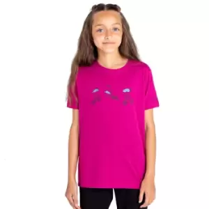 Image of Dare 2b Boys Go Beyond Cotton Casual Graphic T Shirt 13 Years - Chest 79-83cm (Height 153-158cm)