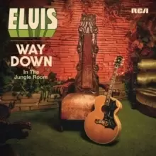 Image of Way Down in the Jungle Room