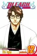 Image of bleach vol 12