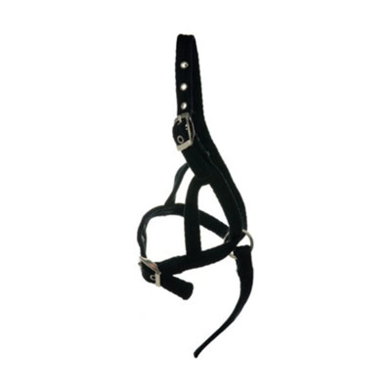 Image of Hy Foal Slip Halter Black (One Size)