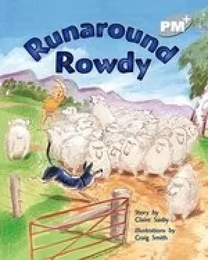 Image of PM Silver: Runaround Rowdy (PM Plus Storybooks) Level 24