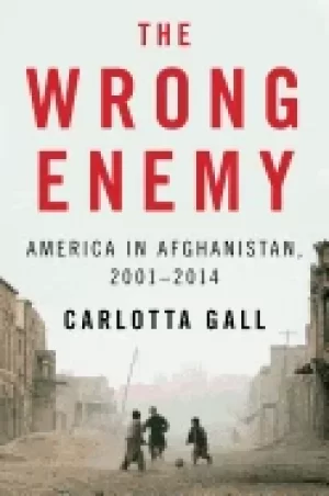 Image of wrong enemy america in afghanistan 2001 2014