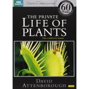 Image of Private Life of Plants DVD
