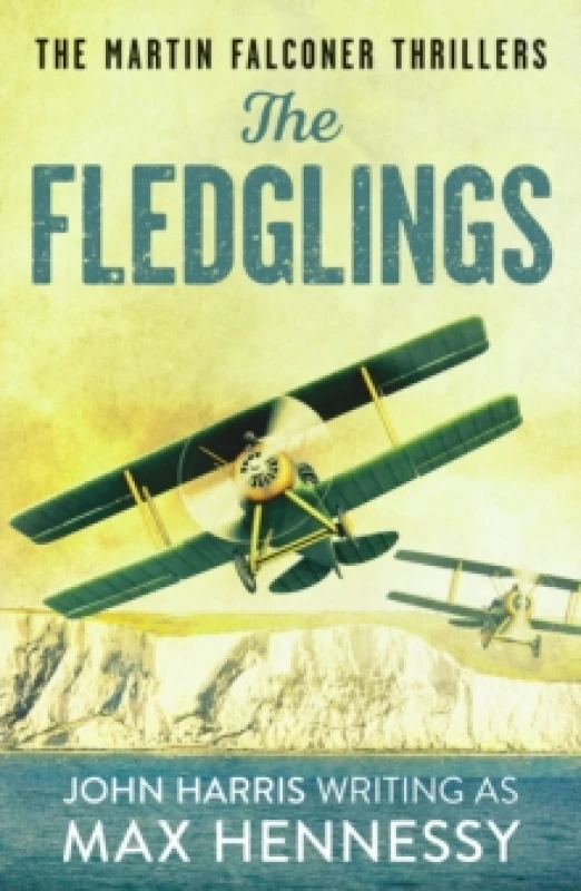 Image of The Fledglings Paperback / softback