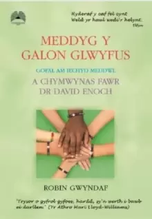 Image of Meddyg y Galon Glwyfus - Gofal am Iechyd Meddwl a Chymwynas Fawr Dr David Enoch