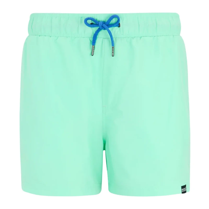 Image of Regatta Mens Mawson III Quick Drying Swimming Shorts XXL- Waist 41-43' (104-109cm) Citron Lime RMM016-AAJ-XXL