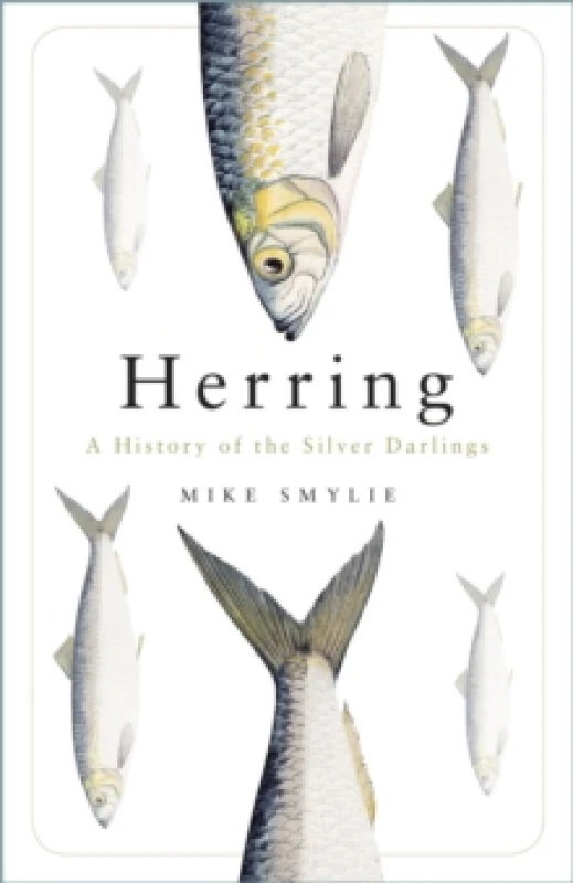 Image of Herring : A History of the Silver Darlings Paperback / softback