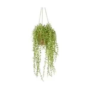 Image of Gallery Interiors Hanging Senecio With Cement Pot