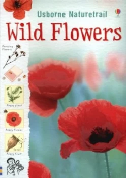 Image of Wild Flowers by Sarah Khan and Kirsteen Rogers and Mark a Spencer and Jane Chisholm Paperback