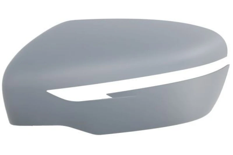 Image of BLIC Wing mirror housing BLIC 6103-01-1300000P