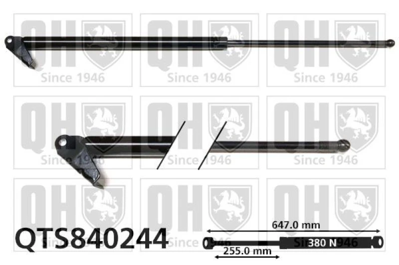 Image of QUINTON HAZELL Tailgate strut QUINTON HAZELL QTS840244