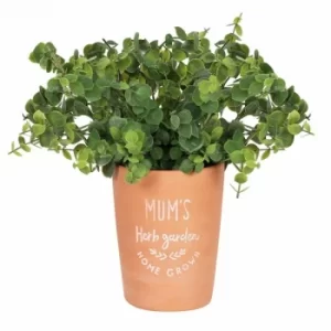 Image of Mum's Terracotta Garden Plant Pot