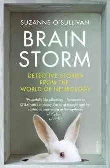 Image of Brainstorm : Detective Stories From the World of Neurology