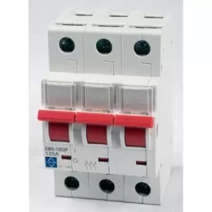 Lewden Triple Pole Main Switch 100A EMS-1003P