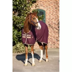 Image of Rambo Headcollar - Red