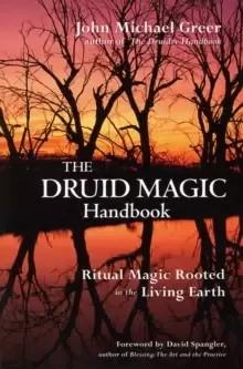 Image of Druid Magic Handbook : Ritual Magic Rooted in the Living Earth