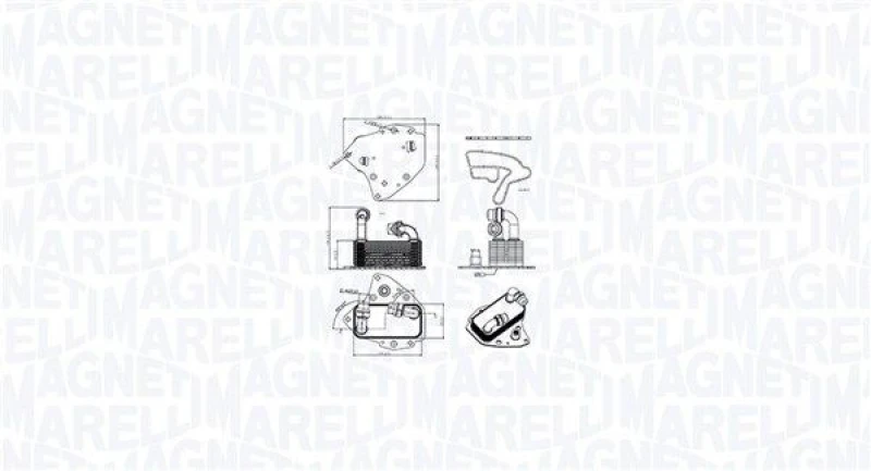 Image of MAGNETI MARELLI Engine oil cooler MAGNETI MARELLI 350300000600