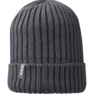 Elevate Unisex Adult Ives Organic Cotton Beanie (One Size) (Storm Grey)